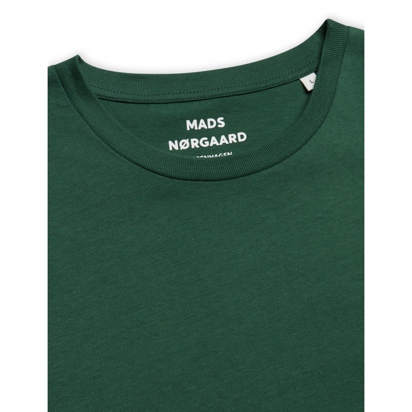 MADSNRGAARDTHORTEEIGRN-01