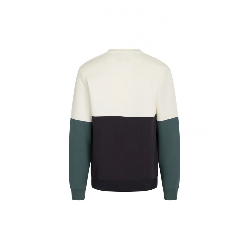 MADSNRGAARDBLOCKSWEASHIRTIHVID-01