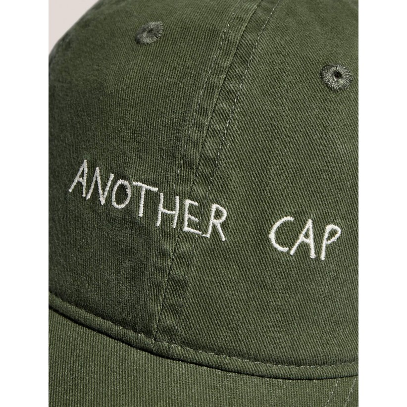 AnotherAspectCap10FadedLeaf-02