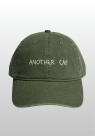 Another Aspect, Cap, Another Cap 1.0, Faded Leaf